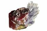 Bi-Colored Elbaite Tourmaline with Mica - Siberia #175651-1
